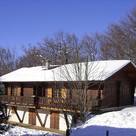 Appartement Chalet Renove 6 Pers Avec Terrasse Proche Evian, Ski Et Randonnee - Fr-1-498-29 Saint-Paul-en-Chablais Ngoại thất bức ảnh