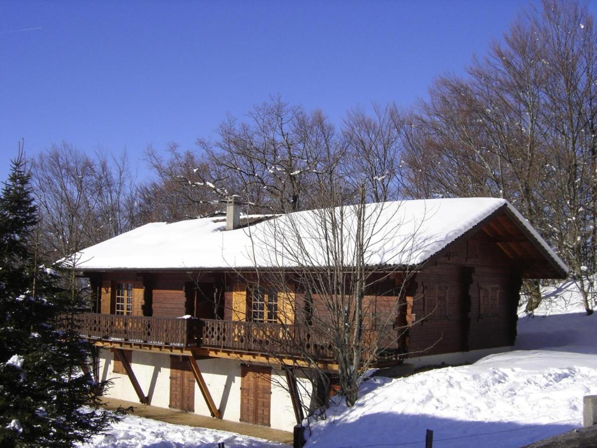 Appartement Chalet Renove 6 Pers Avec Terrasse Proche Evian, Ski Et Randonnee - Fr-1-498-29 Saint-Paul-en-Chablais Ngoại thất bức ảnh