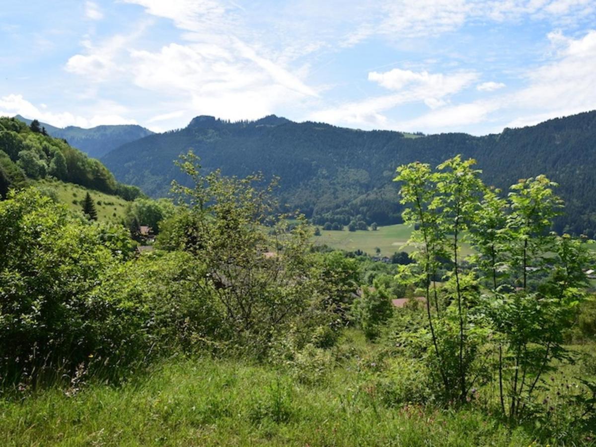 Appartement Chalet Renove 6 Pers Avec Terrasse Proche Evian, Ski Et Randonnee - Fr-1-498-29 Saint-Paul-en-Chablais Ngoại thất bức ảnh